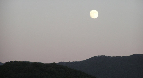 다 사라졌다 싶어 뒤를 돌아 보니 달이 허연 살을 드러내면서 떠 있다 